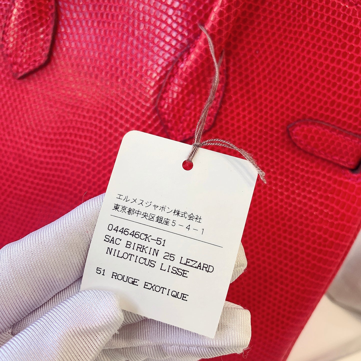 Hermès Birkin 25 Lizard