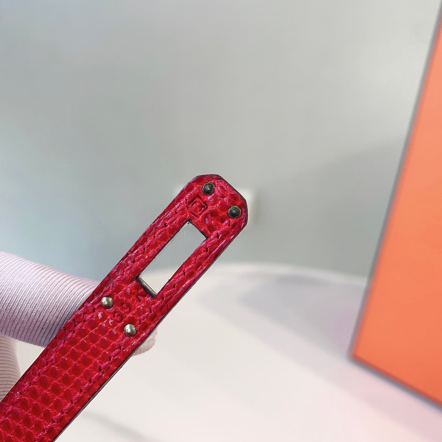 Hermès Birkin 25 Lizard