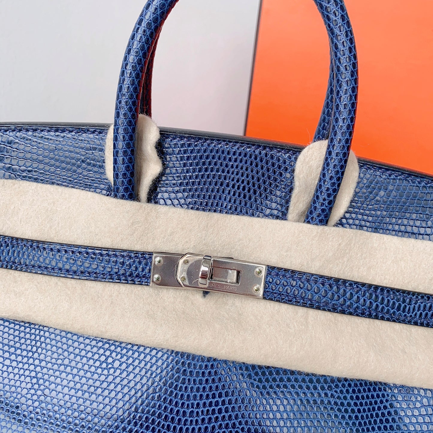 Hermès Birkin 25 Lizard